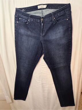 torrid Indigo Stretch Skinny Jeans